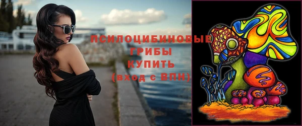 мет Алексин