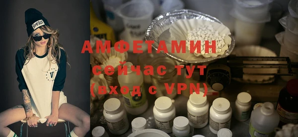 мет Алексин