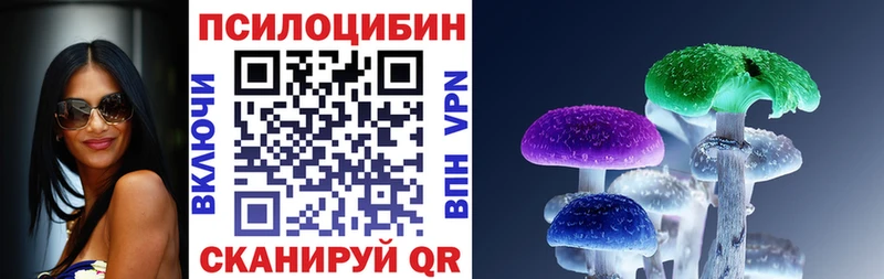 Галлюциногенные грибы GOLDEN TEACHER  блэк спрут ссылка  Жердевка 